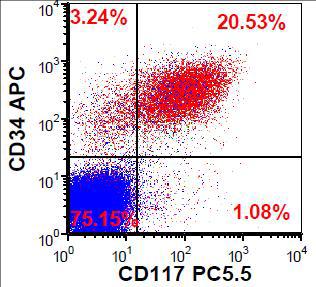 Flow cytometry CD34 vs CD117 (population of interest in red)